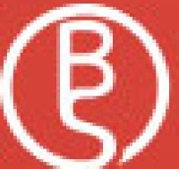 普宁市彬盛织造印染有限公司_企业Logo