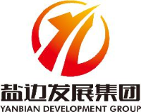 盐边发展（集团）有限责任公司_企业Logo