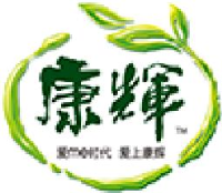广东康辉集团有限公司_企业Logo