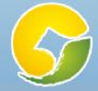 广西农村投资集团有限公司_企业Logo