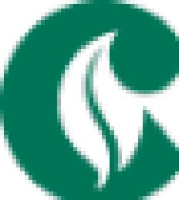 广西中烟工业有限责任公司南宁卷烟厂_企业Logo