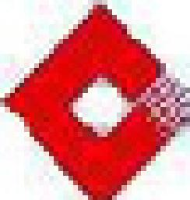 中盐国本盐业有限公司_企业Logo