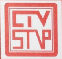 中视卫星电视节目有限责任公司_企业Logo