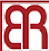 长春博瑞科技股份有限公司_企业Logo