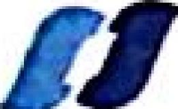 湖北华电襄阳发电有限公司_企业Logo