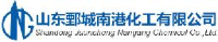 山东鄄城南港化工有限公司_企业Logo