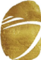 威海市金运游艇有限公司_企业Logo