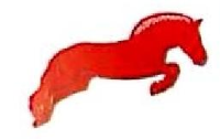 杭州骏马舞台设备有限公司_企业Logo