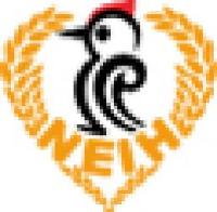 中一东北国际医院有限公司_企业Logo