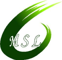 深圳市闽顺隆商贸有限公司_企业Logo