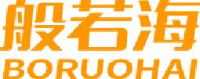 深圳般若海科技有限公司_企业Logo