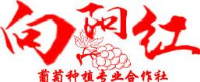 清原满族自治县向阳红葡萄种植专业合作社_企业Logo