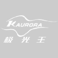 深圳极光王科技股份有限公司_企业Logo