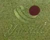 汕头市澄海区瑞胜毛织有限公司_企业Logo