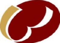 九龙县雅砻江矿业有限责任公司_企业Logo