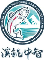 云南滨鲲中智农业科技开发有限责任公司_企业Logo