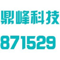 浙江鼎峰科技股份有限公司_企业Logo