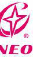 浙江新光饰品股份有限公司_企业Logo