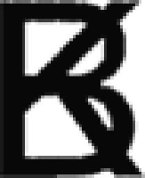 深圳市博科系统科技有限公司_企业Logo