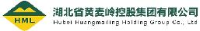 湖北省黄麦岭控股集团有限公司_企业Logo