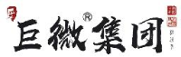 巨微控股集团有限公司_企业Logo