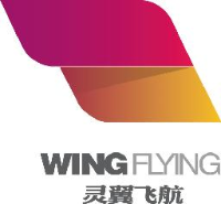 灵翼飞航（天津）科技有限公司_企业Logo