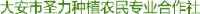 大安市信达农业发展有限公司_企业Logo