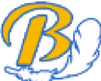 安徽博隆羽绒科技有限公司_企业Logo