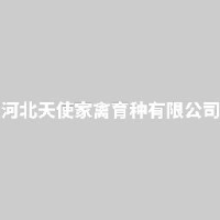 河北天使家禽育种有限公司_企业Logo