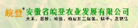 安徽省皖登农业发展有限公司_企业Logo