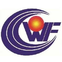 河北文丰新材料有限公司_企业Logo
