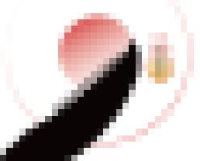 海南天壮营养工程有限公司_企业Logo