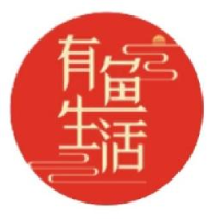 国中(深圳)数字研究集团有限公司_企业Logo