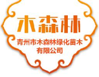 青州市木森林绿化苗木有限公司_企业Logo