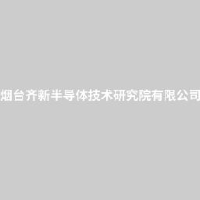 烟台齐新半导体技术研究院有限公司_企业Logo