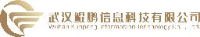 武汉鲲鹏信息科技有限公司_企业Logo