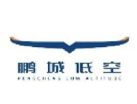 鹏城低空经济产业发展（深圳）有限公司_企业Logo